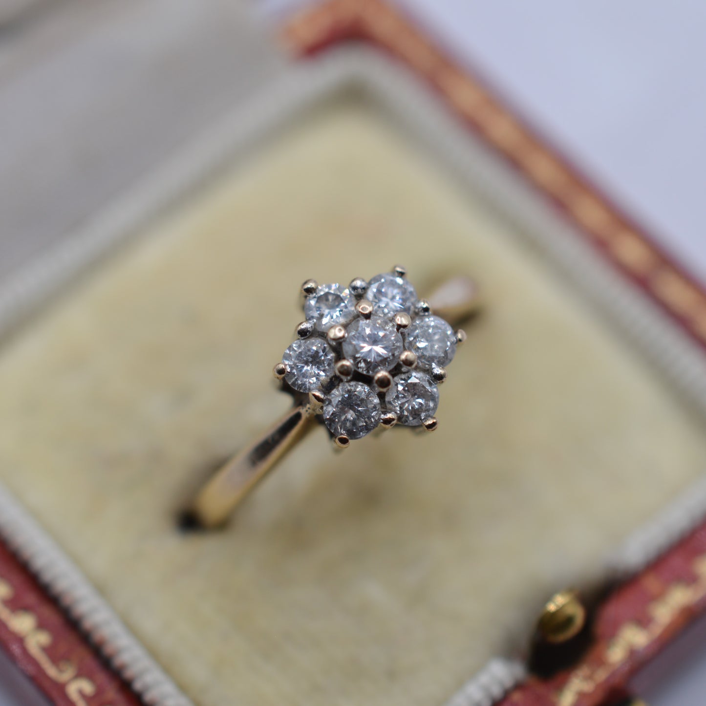 9ct Gold 0.50ct Diamond Cluster Ring