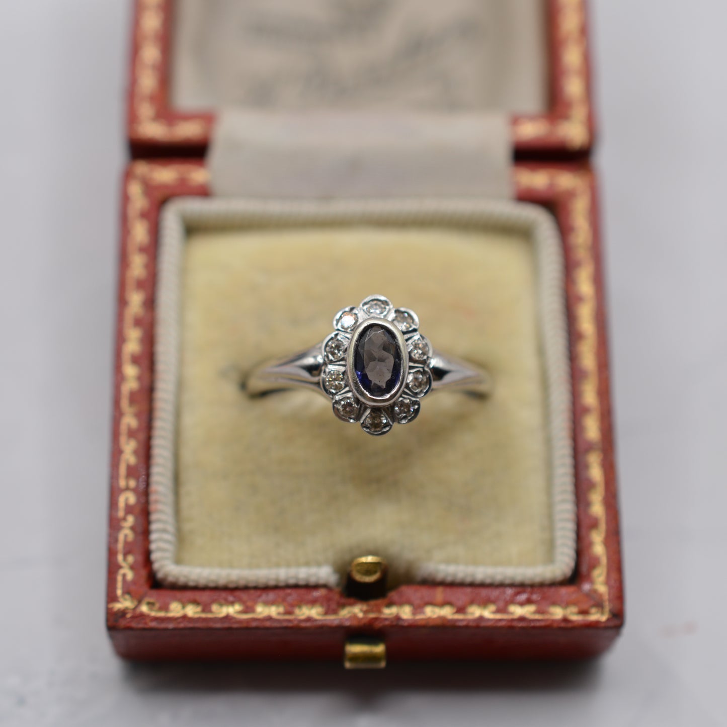 9ct White Gold Iolite & Diamond Cluster Ring