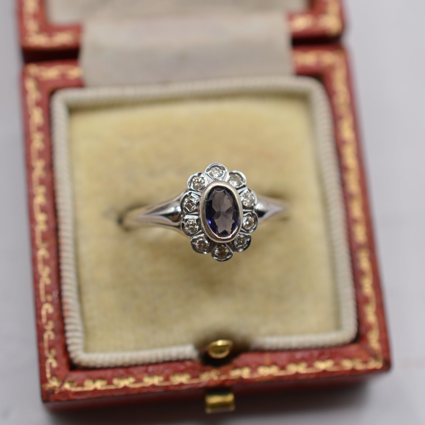 9ct White Gold Iolite & Diamond Cluster Ring
