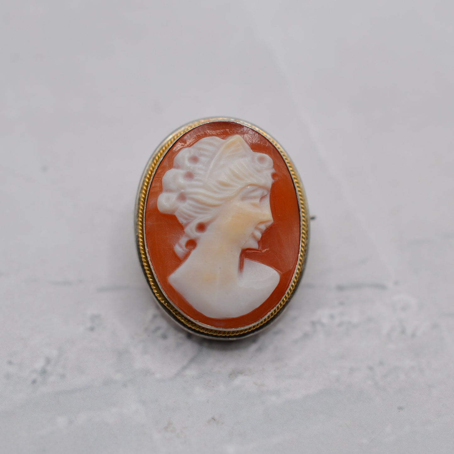 Vintage .800 Silver Cameo Pendant/Brooch