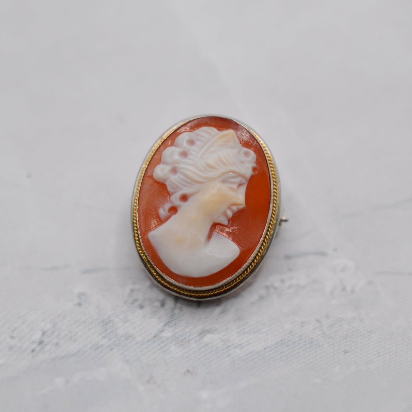 Vintage .800 Silver Cameo Pendant/Brooch