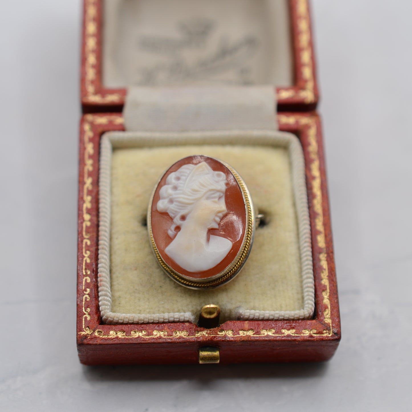 Vintage .800 Silver Cameo Pendant/Brooch