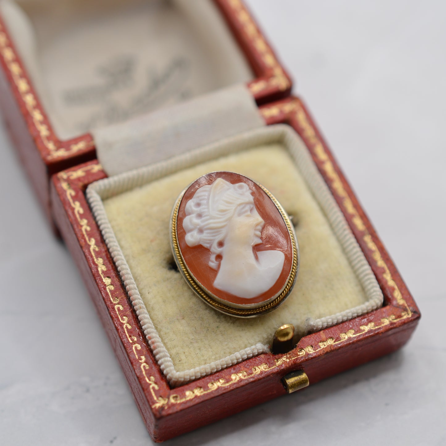 Vintage .800 Silver Cameo Pendant/Brooch
