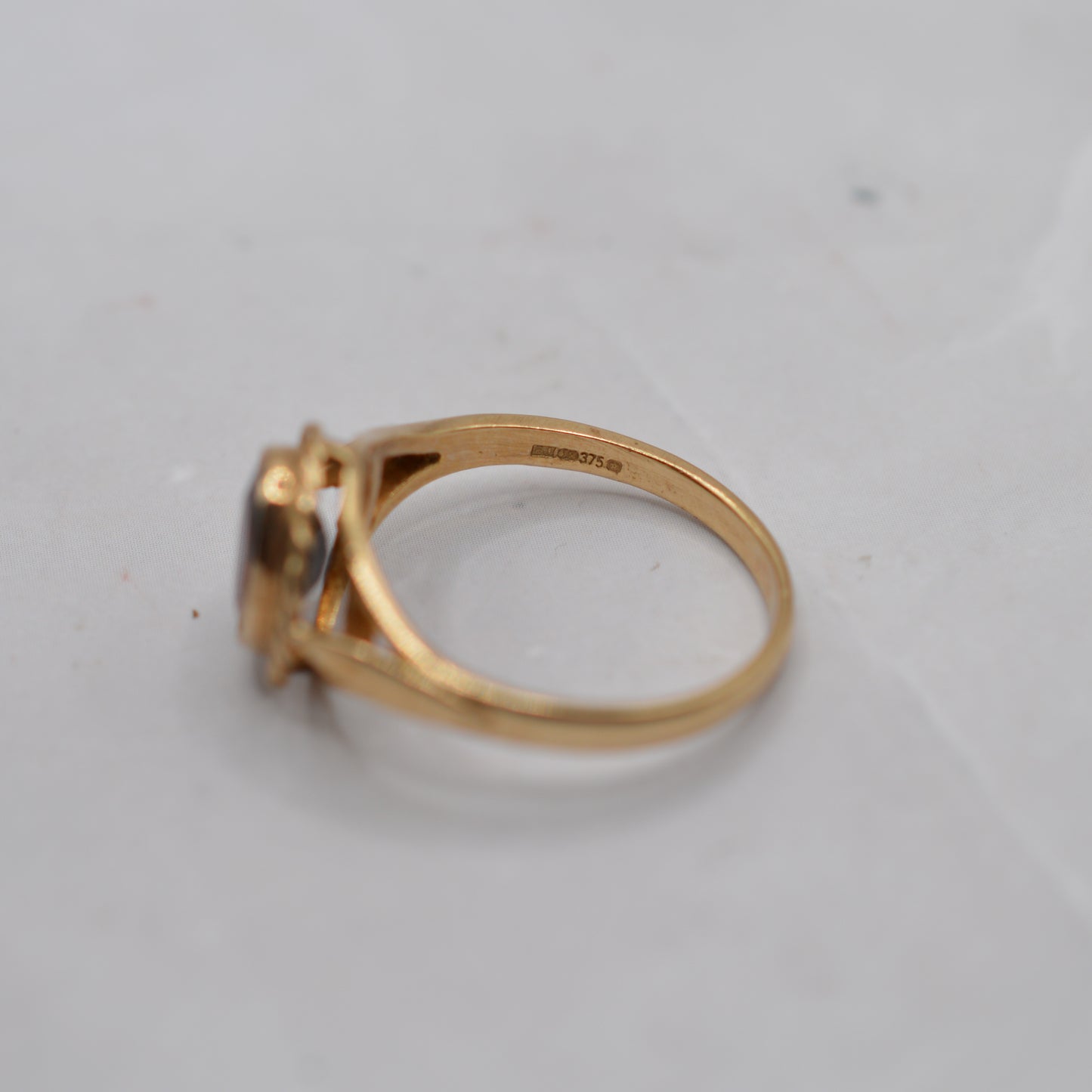 9ct Gold Garnet Ring with Rope-Twist Border